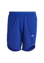 ADIDAS PERFORMANCE Pantaloni sportivi  blu reale / grigio chiaro