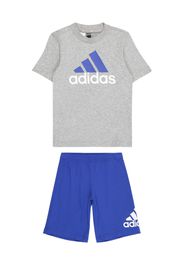 ADIDAS PERFORMANCE Completo per l'allenamento  blu / grigio / bianco