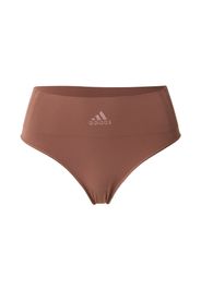 ADIDAS PERFORMANCE Pantaloncini intimi sportivi  camoscio