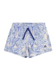 ADIDAS PERFORMANCE Pantaloni sportivi  beige / blu fumo / blu scuro / grigio