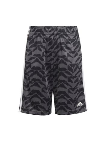 ADIDAS SPORTSWEAR Pantaloni sportivi 'Football Celebration'  grigio / nero