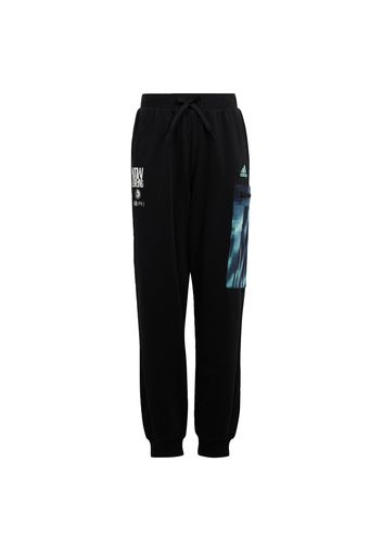 ADIDAS SPORTSWEAR Pantaloni sportivi  colori misti / nero