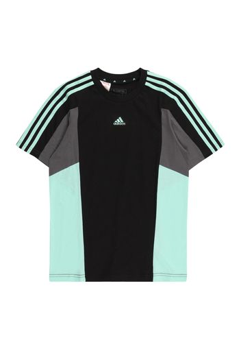 ADIDAS SPORTSWEAR Maglietta  grigio scuro / menta / nero