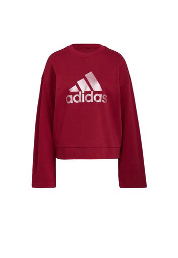 ADIDAS SPORTSWEAR Felpa sportiva  rosso scuro / argento