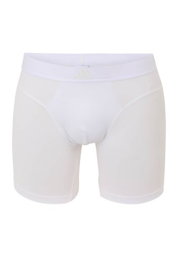 ADIDAS SPORTSWEAR Pantaloncini intimi sportivi  bianco / bianco lana