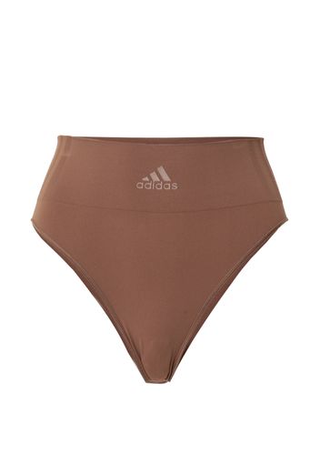 ADIDAS SPORTSWEAR Pantaloncini intimi sportivi  marrone / grigio