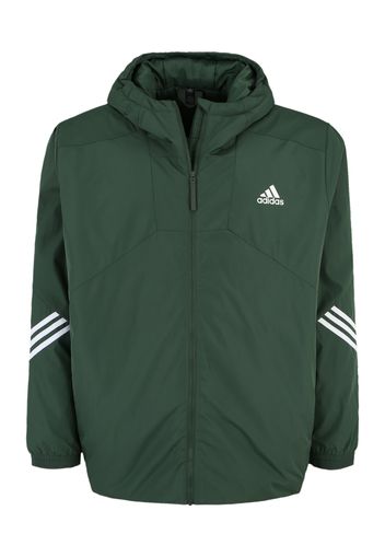 ADIDAS SPORTSWEAR Giacca sportiva  verde scuro / bianco