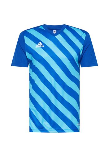 ADIDAS SPORTSWEAR Maglia funzionale 'Entrada 22'  blu chiaro / blu scuro / bianco