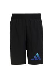 ADIDAS SPORTSWEAR Pantaloni sportivi  blu / nero / bianco