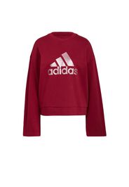 ADIDAS SPORTSWEAR Felpa sportiva  rosso scuro / argento