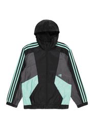 ADIDAS SPORTSWEAR Giacca sportiva  turchese / grigio scuro / nero