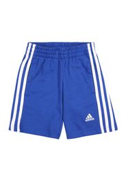 ADIDAS SPORTSWEAR Pantaloni sportivi  blu / bianco