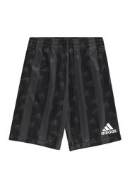 ADIDAS SPORTSWEAR Pantaloni sportivi 'BLUV'  grigio scuro / nero / offwhite