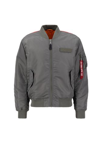 ALPHA INDUSTRIES Giacca di mezza stagione 'Fighter Squadron'  grigio / colori misti