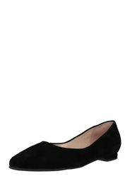 Apple of Eden Ballerina 'Briana 1'  nero