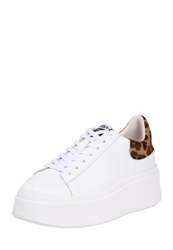 ASH Sneaker bassa 'Moby A'  marrone / bianco