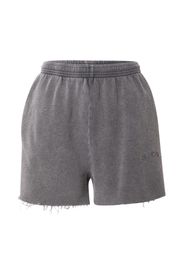 BDG Urban Outfitters Pantaloni  grigio scuro