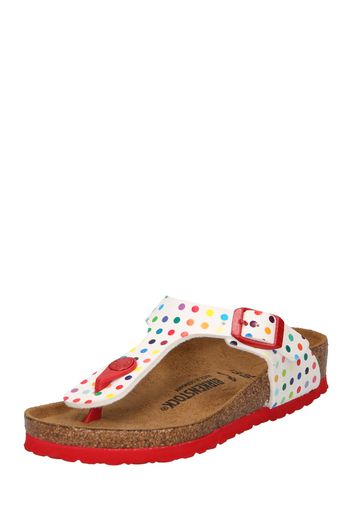 BIRKENSTOCK Sandalo 'Gizeh'  colori misti / bianco