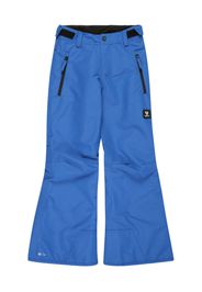 Brunotti Kids Pantaloni sportivi 'Footraily'  blu / nero / bianco