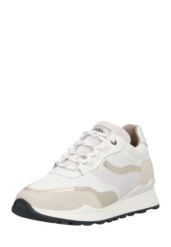 BULLBOXER Sneaker bassa  beige / grigio chiaro / bianco