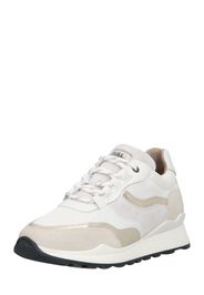 BULLBOXER Sneaker bassa  beige / grigio chiaro / bianco