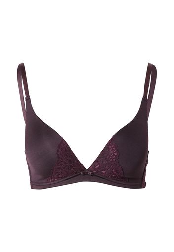 CALIDA Reggiseno  prugna