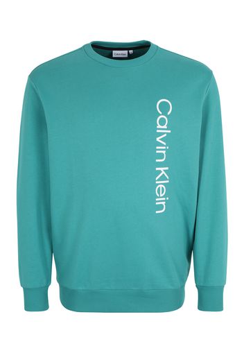 Calvin Klein Big & Tall Felpa  giada / bianco