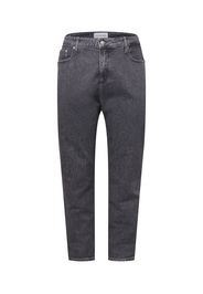 Calvin Klein Jeans Curve Jeans  grigio denim