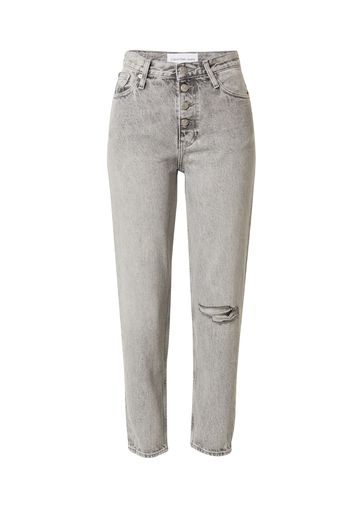 Calvin Klein Jeans Jeans  grigio denim / nero / bianco