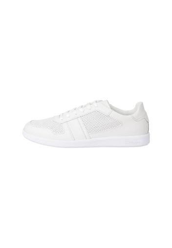 Calvin Klein Sneaker bassa  bianco