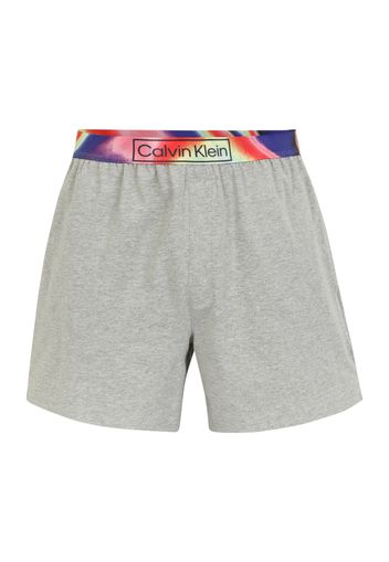 Calvin Klein Underwear Boxer  grigio sfumato / colori misti