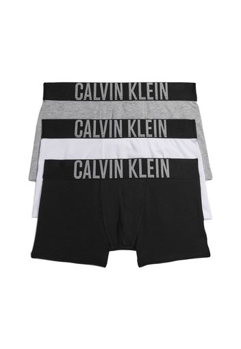 Calvin Klein Underwear Pantaloncini intimi  grigio / nero / bianco