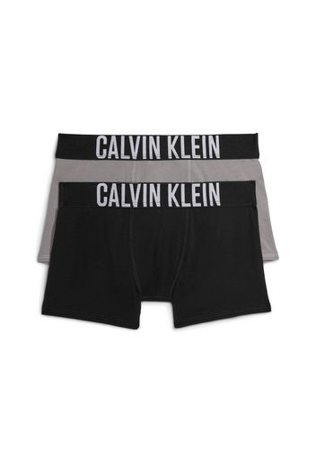 Calvin Klein Underwear Pantaloncini intimi  grigio / nero