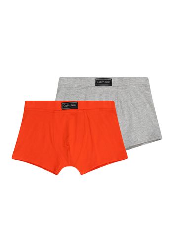 Calvin Klein Underwear Pantaloncini intimi  grigio sfumato / rosso