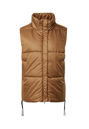 Cartoon Gilet  seppia