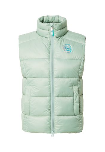 Cartoon Gilet  menta