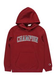 Champion Authentic Athletic Apparel Felpa  navy / merlot / bianco