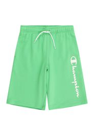 Champion Authentic Athletic Apparel Pantaloni  kiwi / bianco