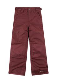 COLUMBIA Pantaloni per outdoor 'Bugaboo II'  mora