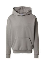 DAN FOX APPAREL Felpa 'Sebastian'  grigio scuro