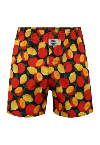 D.E.A.L International Boxer 'Fruits'  blu notte / rosso arancione / giallo / verde