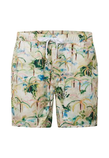 DEDICATED. Pantaloncini da bagno 'Sandhamn Tropics'  beige / verde / rosa / blu chiaro