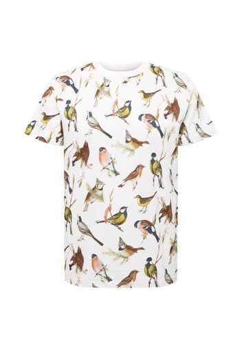 DEDICATED. Maglietta 'Stockholm Autumn Birds'  bianco / colori misti