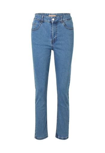 Denim Project Jeans 'WIDA'  blu denim