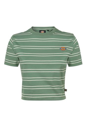 DICKIES Maglietta  verde / arancione / bianco