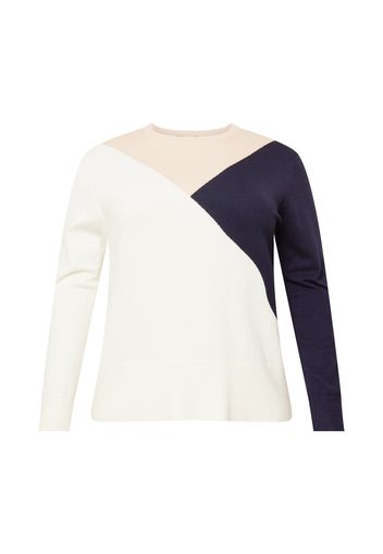 Dorothy Perkins Curve Pullover  navy / beige / guscio d'uovo