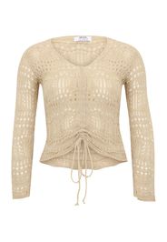 Dorothy Perkins Petite Pullover  pietra