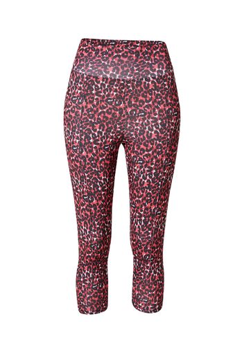 Dorothy Perkins Leggings  nero / bianco / lampone / rosso vino