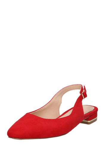 Dorothy Perkins Ballerina con cinturino 'Ellery'  rosso