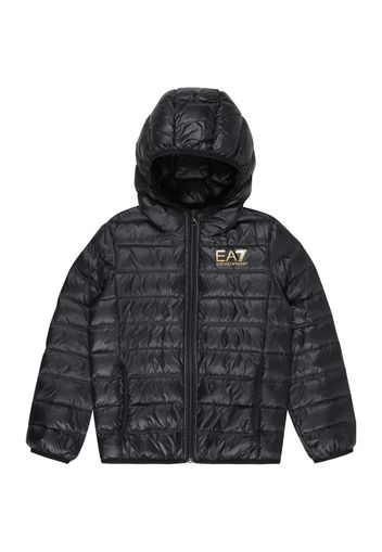 EA7 Emporio Armani Giacca invernale  giallo / nero